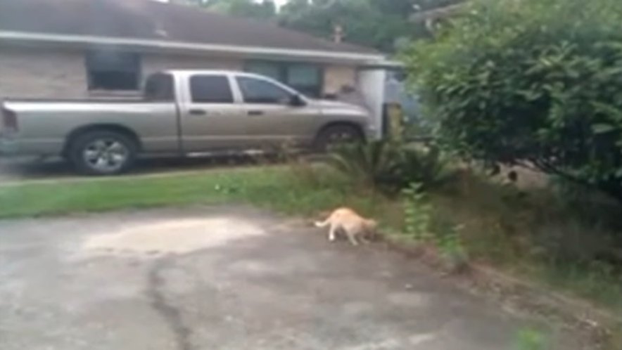 2002 Dodge Ram Quad Cab