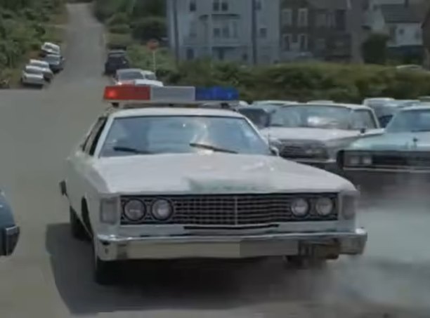 1973 Ford Custom 500