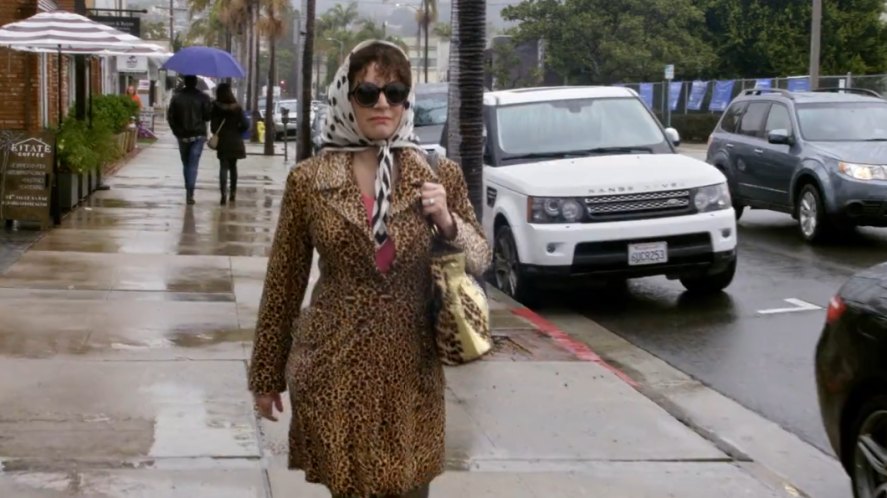 2010 Land-Rover Range Rover Sport [L320]