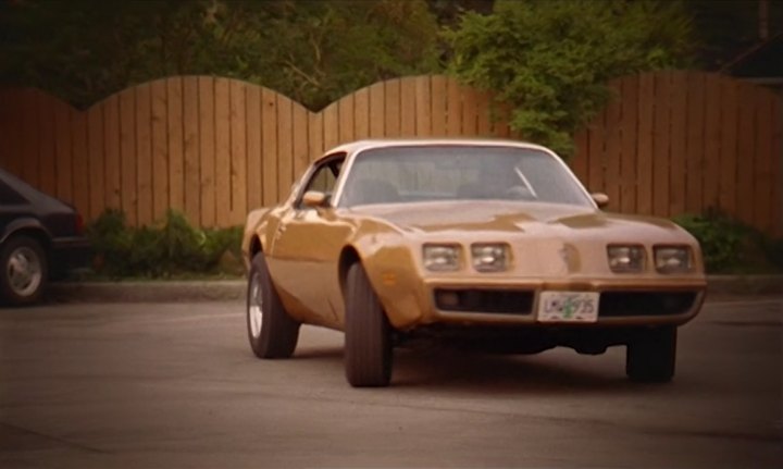 1981 Pontiac Firebird
