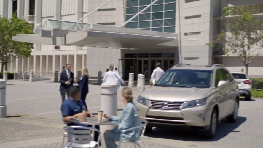 2013 Lexus RX [AL10]