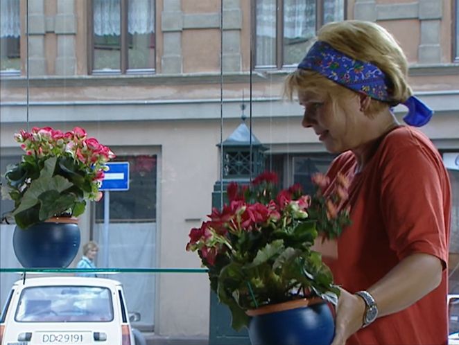 1981 Renault 5 TL Série 1 [R1227]