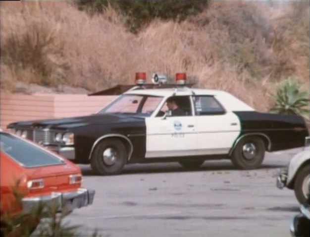 1973 Ford Custom 500