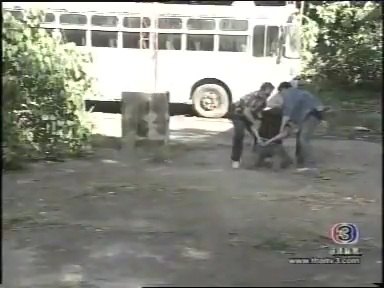 Mercedes-Benz OF 1113