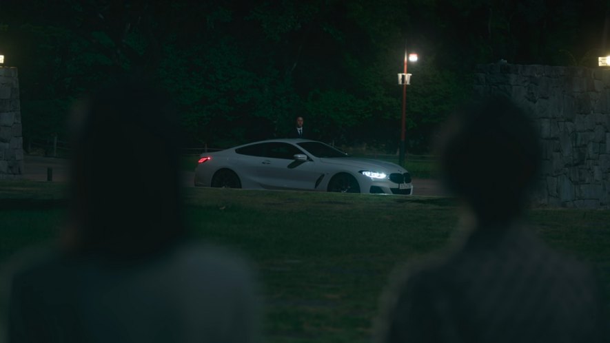 2019 BMW M850i xDrive [G15]