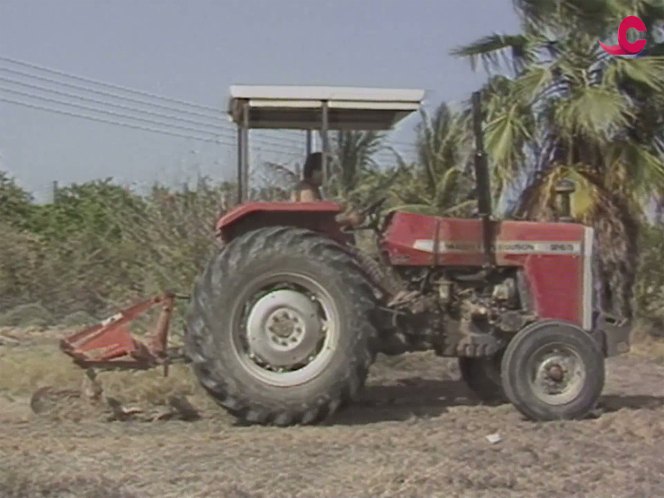 Massey Ferguson 265