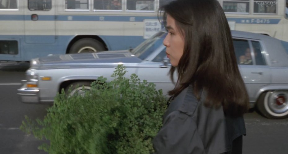 1981 Cadillac Fleetwood Brougham