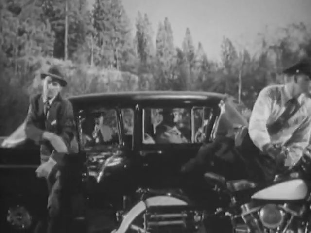Harley-Davidson unknown