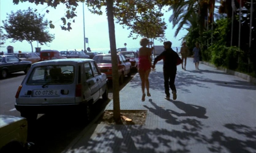 Renault 5 Série 1 [R122]