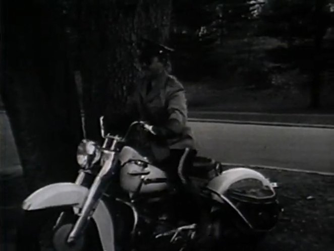 Harley-Davidson unknown