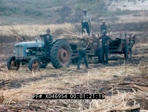 1958 Fordson Power Major