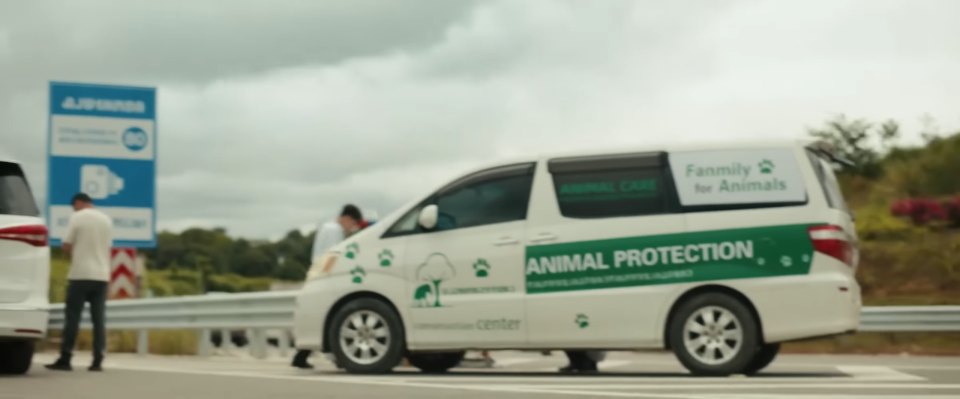 2002 Toyota Alphard [AH10]