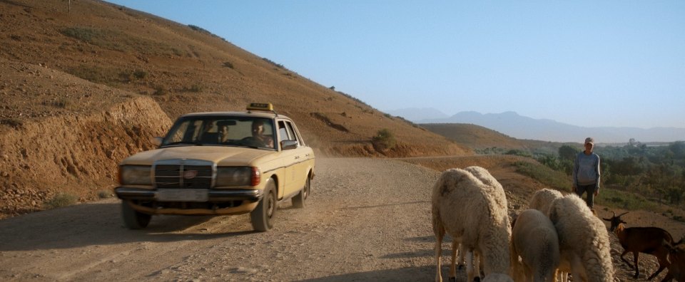 Mercedes-Benz [W123]