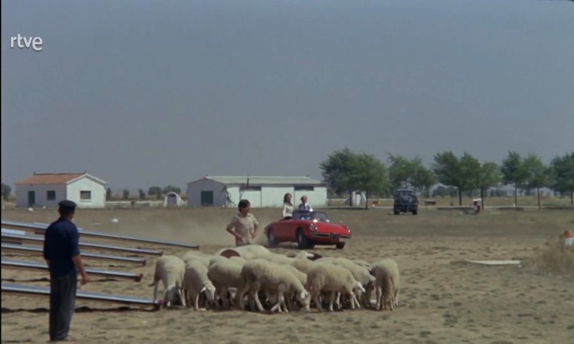 1966 Alfa Romeo Spider 1600 Duetto [105.03]