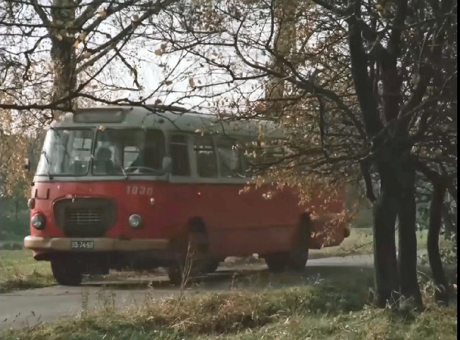 Jelcz 272 MEX [706 RTO]