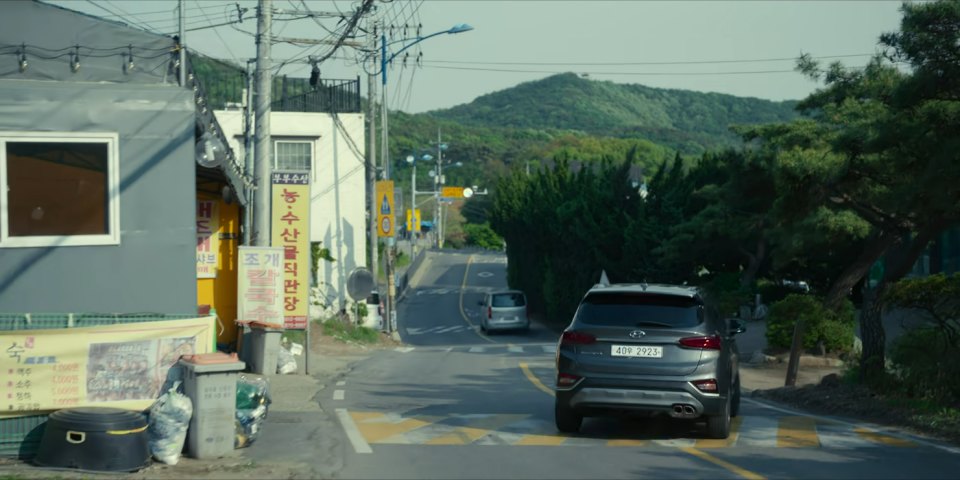 2018 Hyundai Santa Fe [TM]