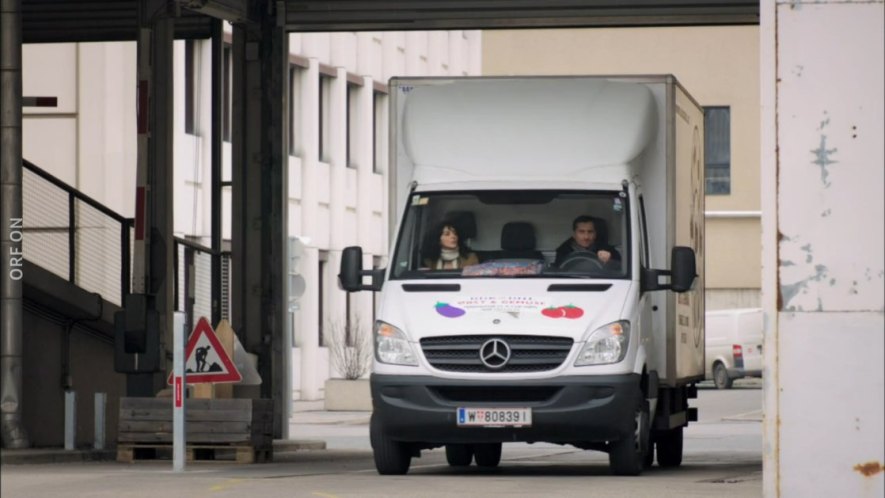 2007 Mercedes-Benz Sprinter [W906]