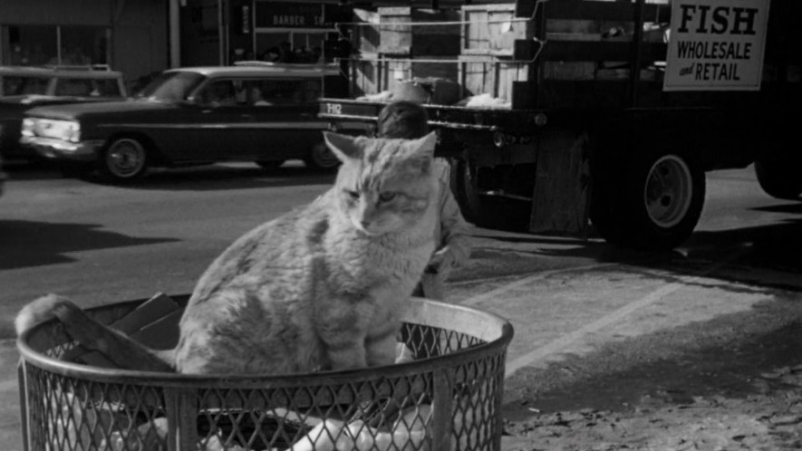 1961 Chevrolet Nomad