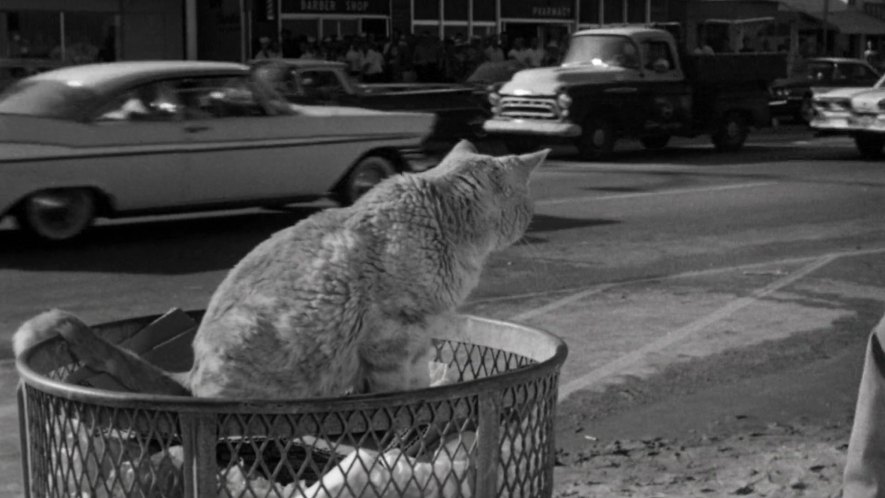 1957 Chevrolet Task-Force 3100