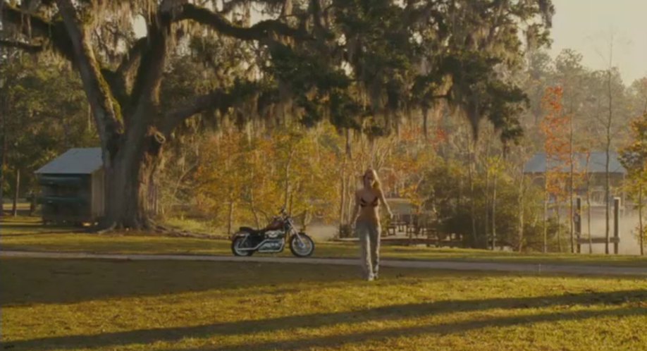 Harley-Davidson unknown