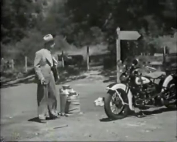 Harley-Davidson unknown