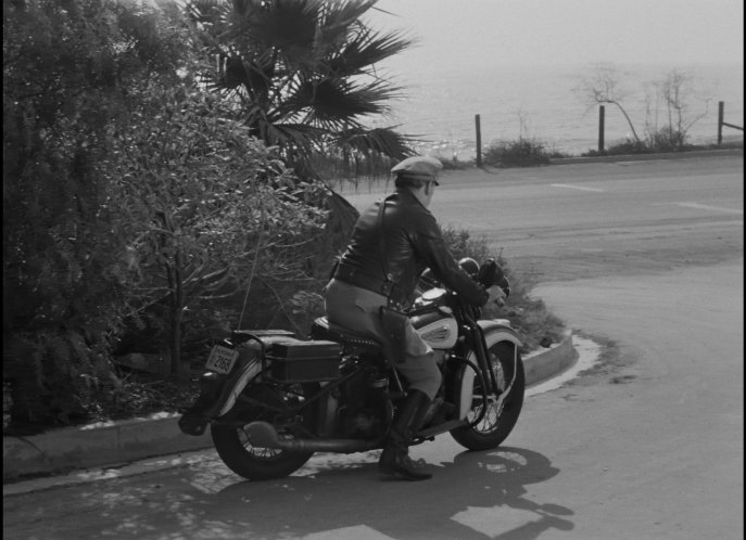 Harley-Davidson unknown