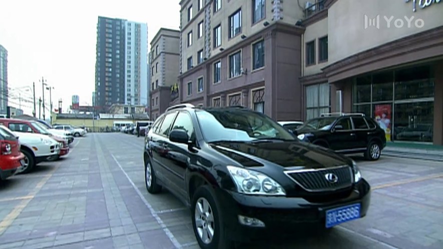 2004 Lexus RX [XU30]