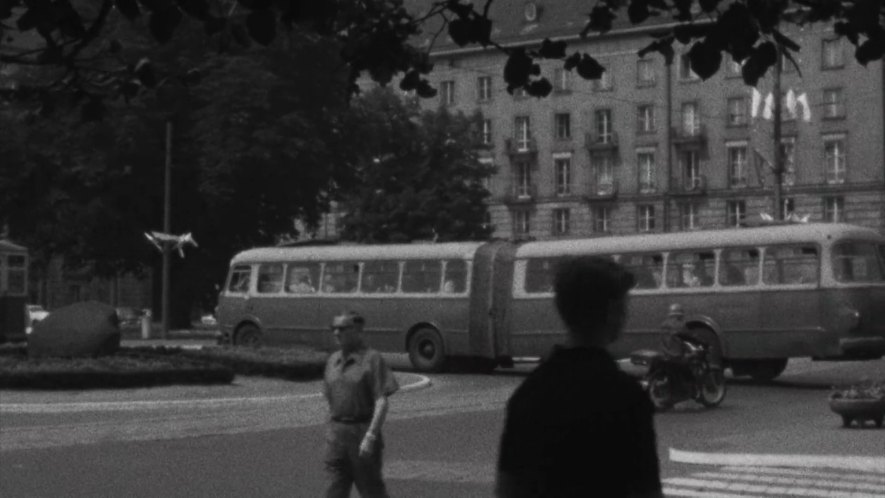 Jelcz AP-02 [706 RTO]