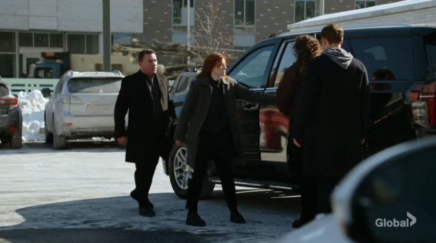 2010 Lexus RX [AL10]