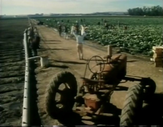 Farmall M