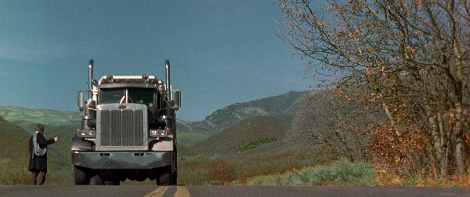 1981 Peterbilt 359