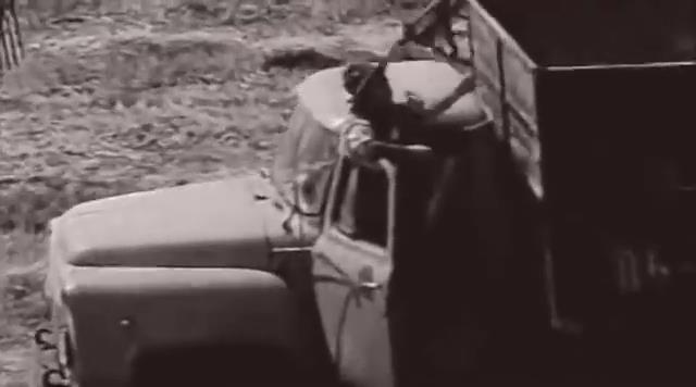 1965 GAZ unknown