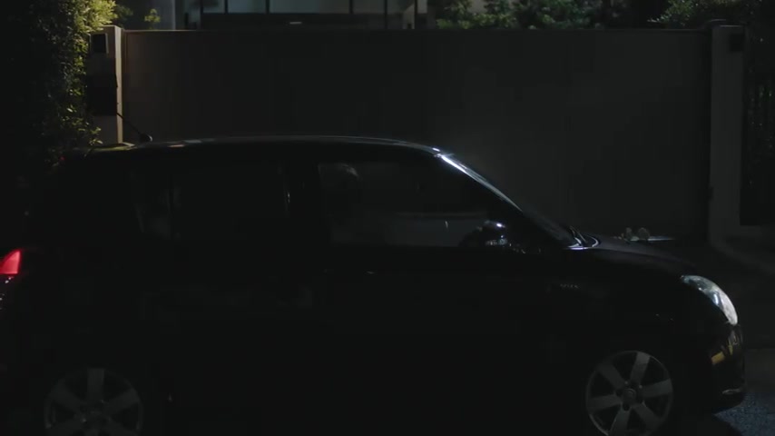 2008 Suzuki Swift [ZC]