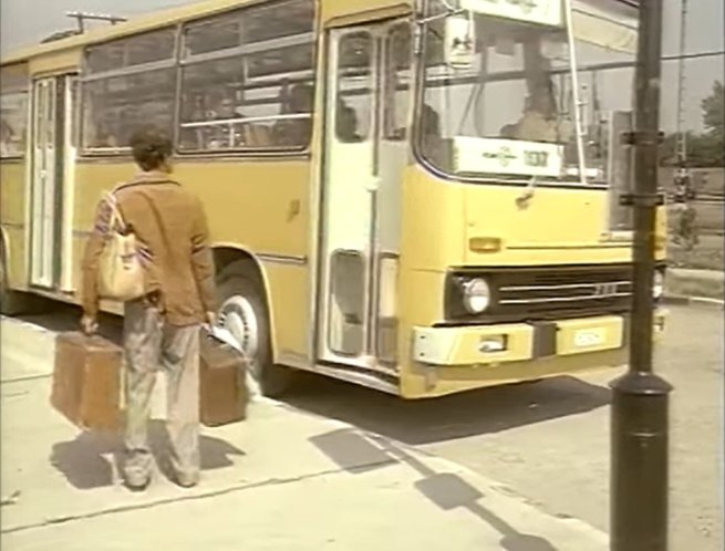 Ikarus 260