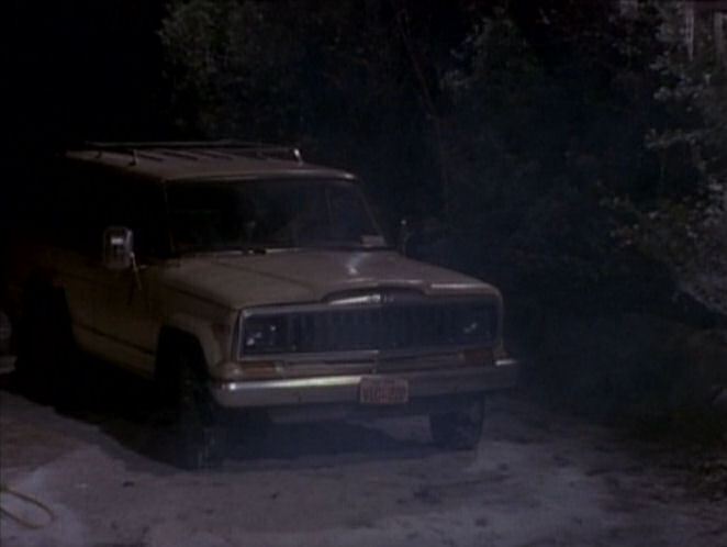 1981 Jeep Cherokee Chief [SJ]