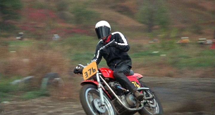 Triumph TR 6 (Metisse Frame)