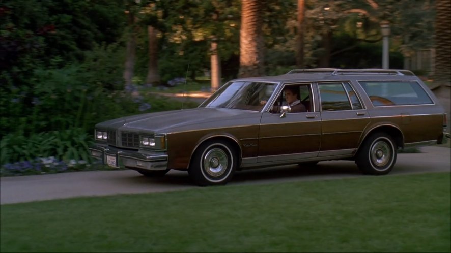 1983 Oldsmobile Custom Cruiser