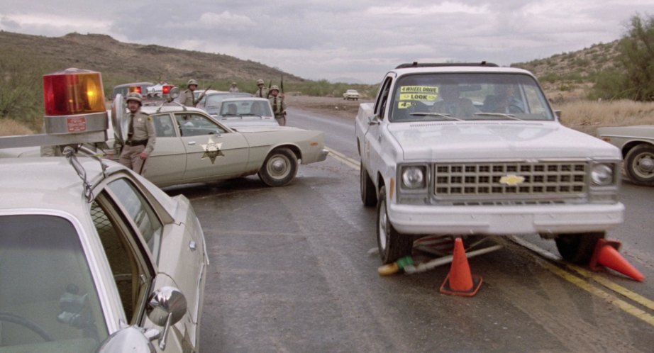 1980 Chevrolet K-Series Custom Deluxe Fleetside