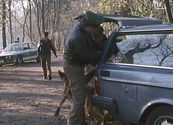Volvo 245