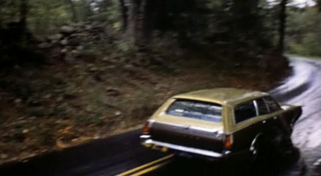 1971 Dodge Coronet Crestwood Wagon [WP45/46]