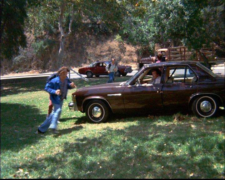 1977 Buick Skylark