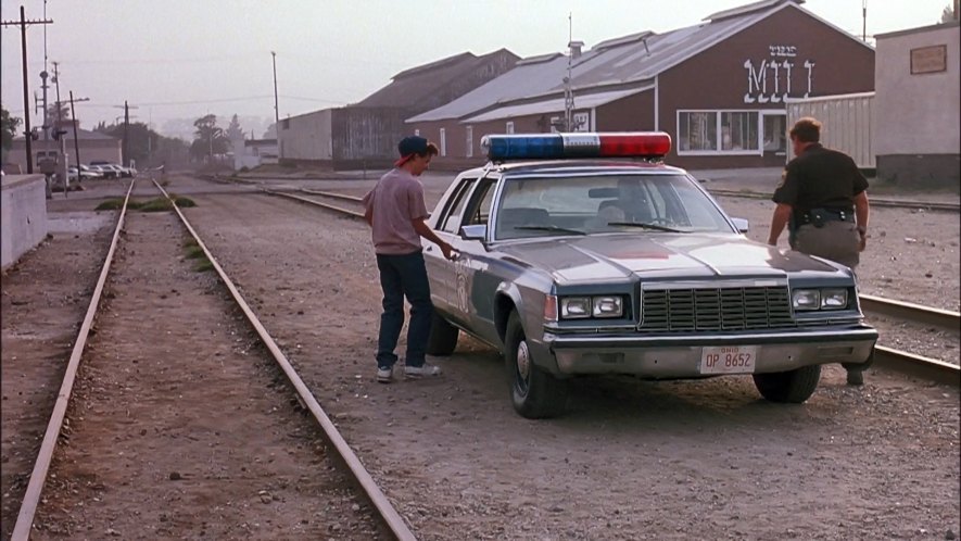 1979 Dodge St. Regis