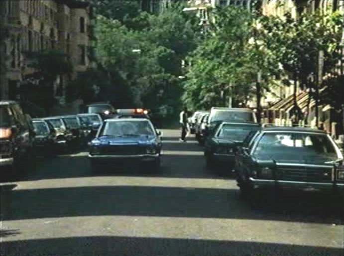 1980 Ford LTD-S Wagon [74D]