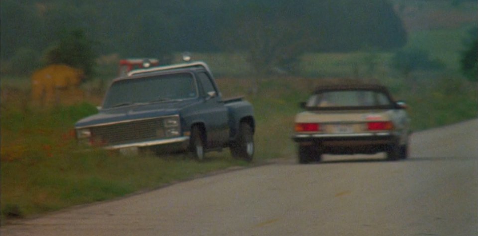1983 Chevrolet C-10 Silverado Stepside