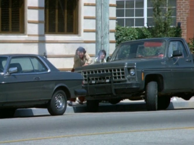 IMCDb.org: 1980 Chevrolet C-10 Custom Deluxe in 