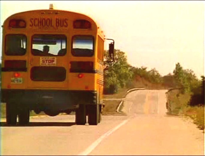 International Harvester S-Series Blue Bird