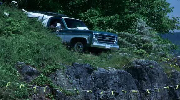 1979 Chevrolet C-20 Bonanza Fleetside
