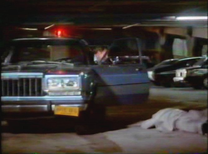 1981 Dodge Diplomat