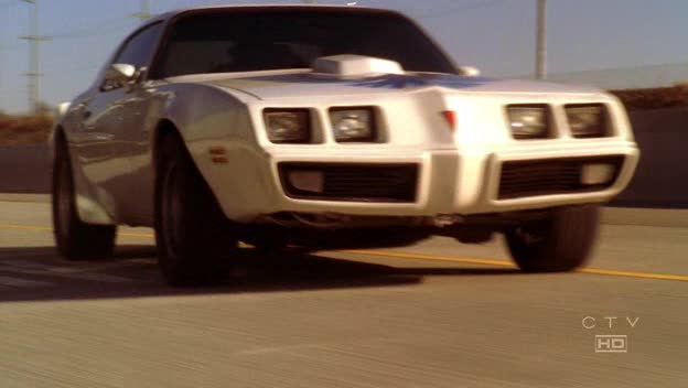 1981 Pontiac Firebird Trans Am