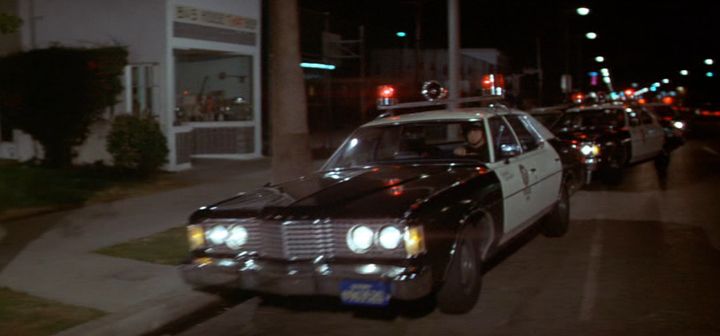 1973 Ford Custom 500